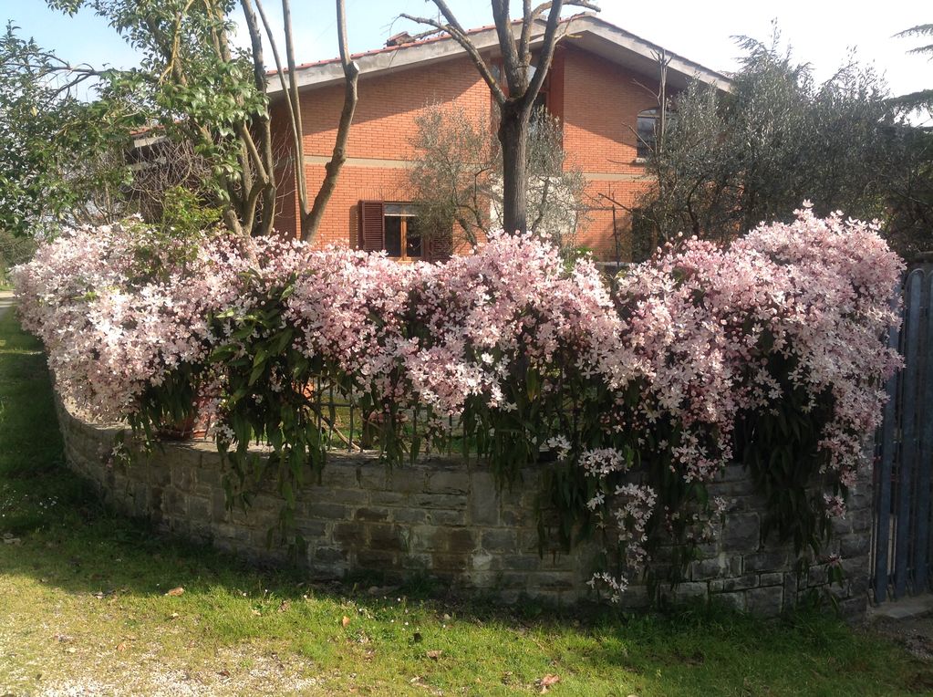 Das Ferienhaus Villa Giulia in der Toskana